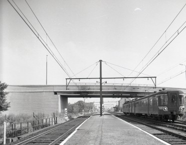 Lot - Z08157D (3).jpg
